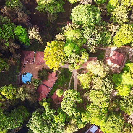Отель Qexperiences Coorg Мадикери Экстерьер фото